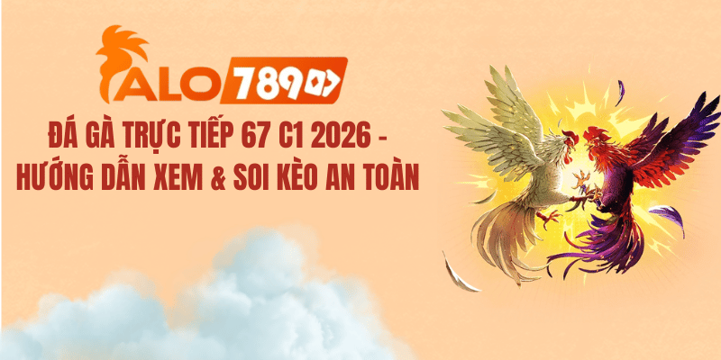 Đá Gà Trực Tiếp 67 C1 2026 – Trực Tiếp Thomo & Soi Kèo Uy Tín