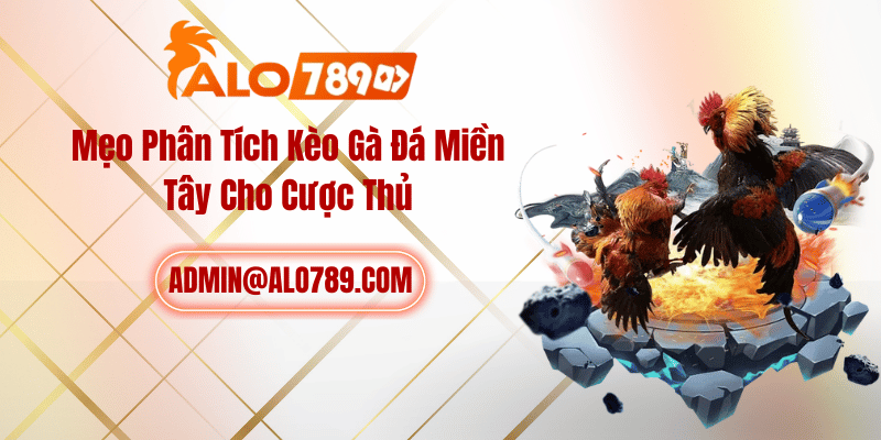Mẹo Phân Tích Kèo Gà Đá Miền Tây Cho Cược Thủ