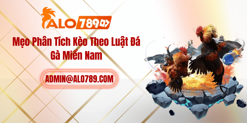 Mẹo Phân Tích Kèo Theo Luật Đá Gà Miền Nam